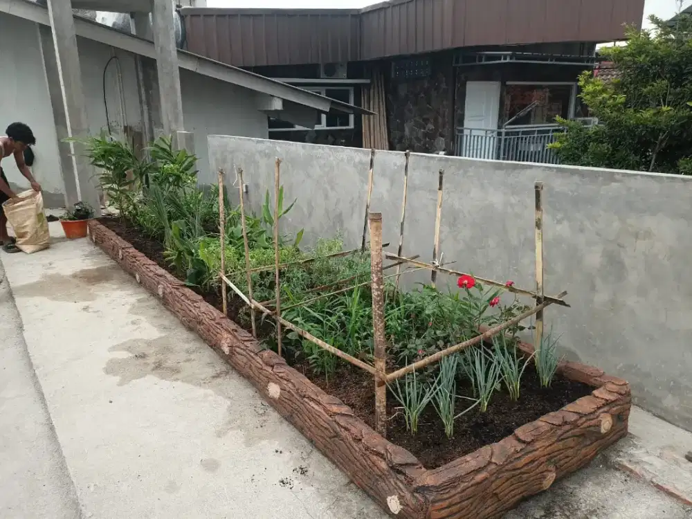 Taman sayur/pembuatan taman sayur atau taman minimalis