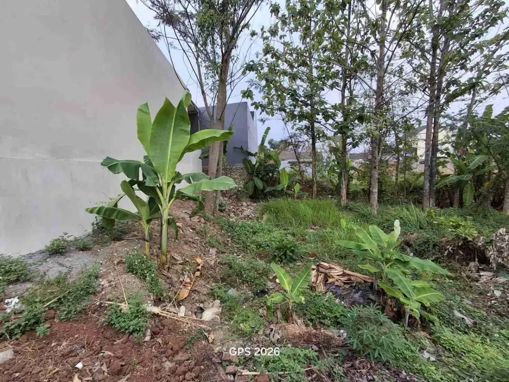 tanah di Mulawarman sangat murah