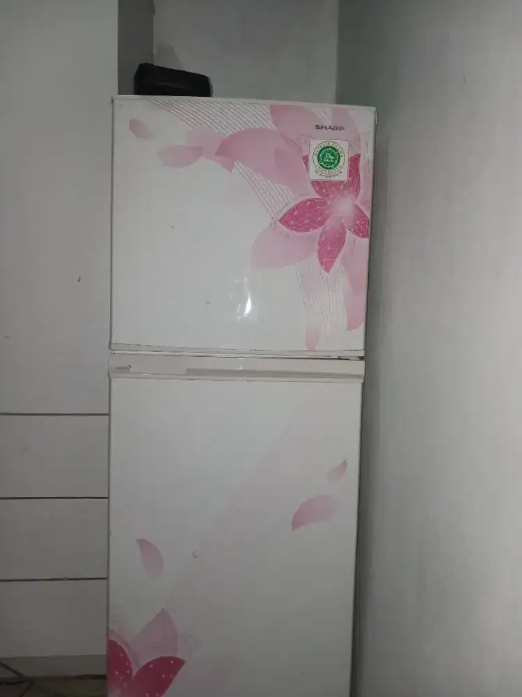 Kulkas sharp 2 pintu belum perna service