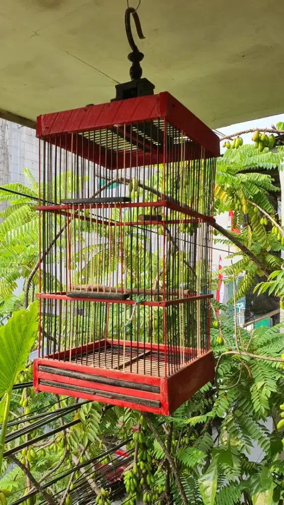 Kandang burung jeruji fiber