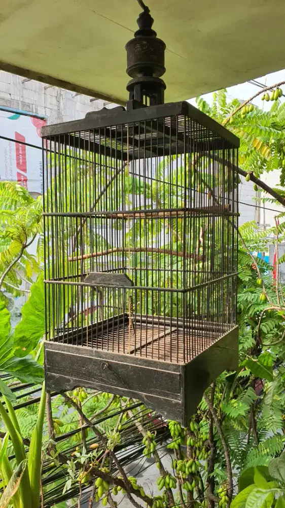 Kandang burung kayu tanpa tiang