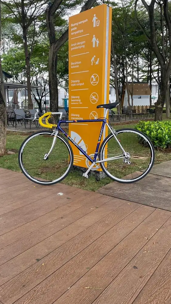 Roadbike Vintage Bridgestone Radac