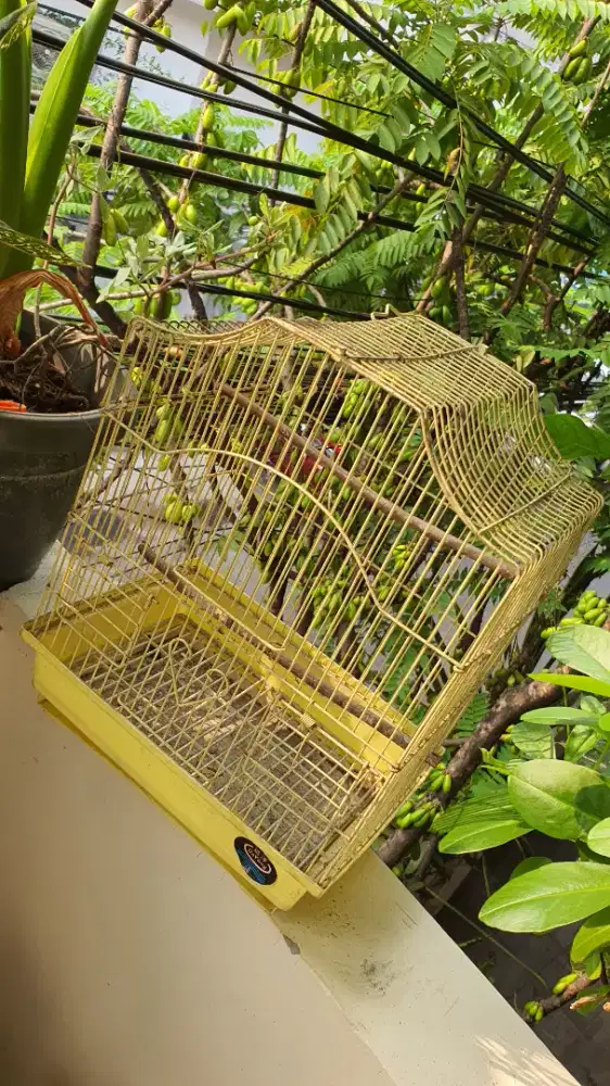 Kandang besi, hamster