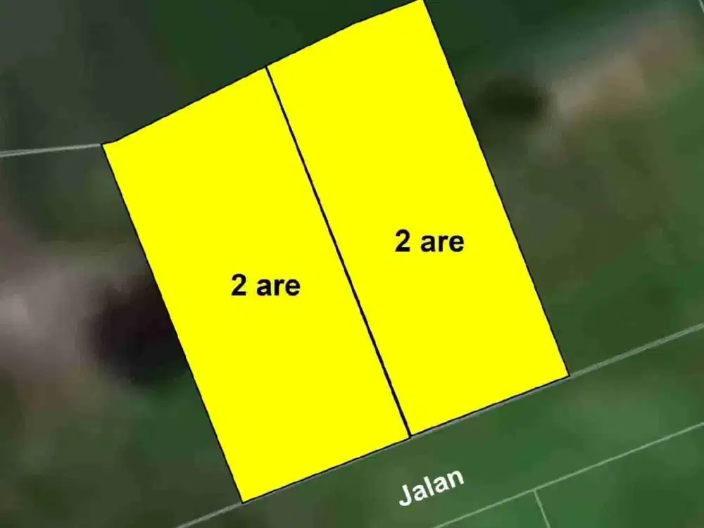 DI JUAL TANAH 400m² VIEW SAWAH DEKAT PANTAI SESEH - Thumbnail 4