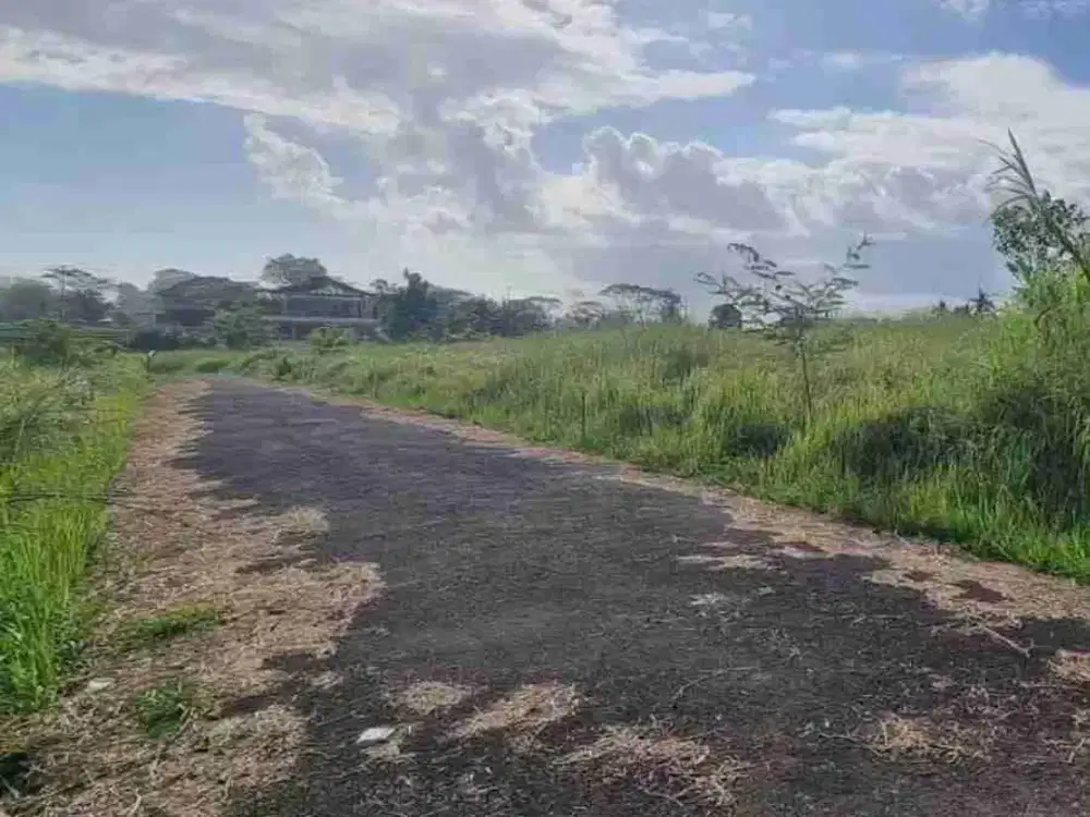 DI JUAL TANAH 400m² VIEW SAWAH DEKAT PANTAI SESEH - Thumbnail 2