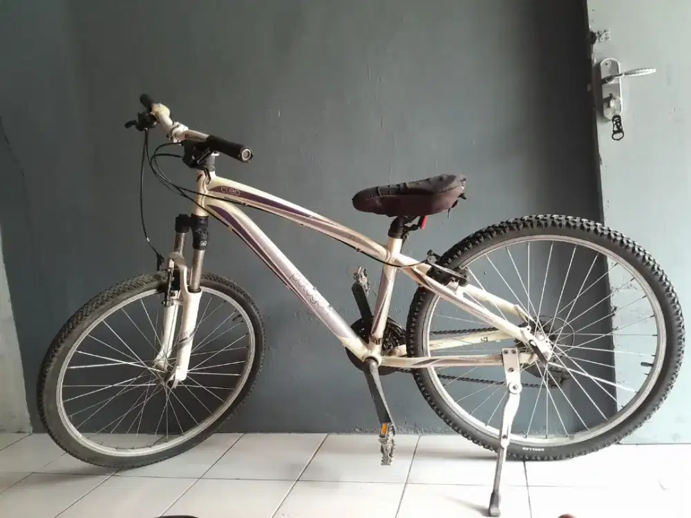 Jual Murah Sepeda gunung Merk Polygon Cleo Kondisi100%Msh Bgs Gak Rsk