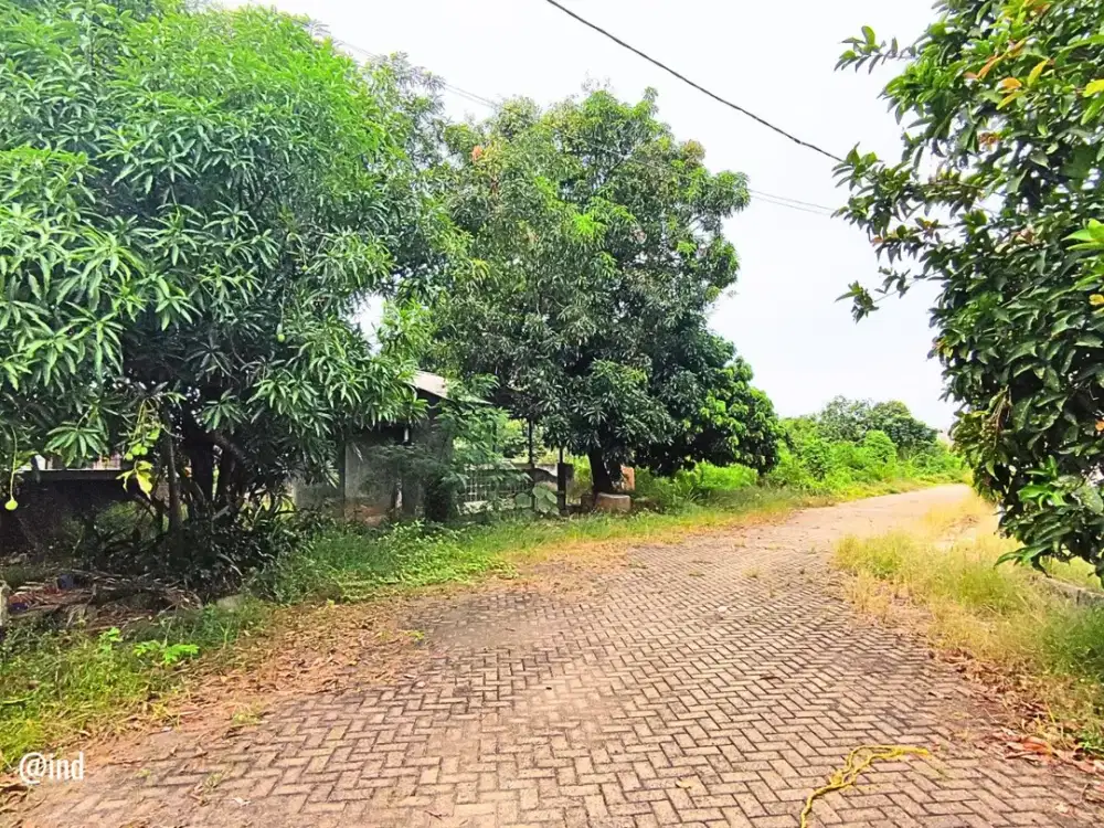 Tanah Sukaraya Karangbahagia Cikarang Utara - Harga Terjangkau, Lokasi Berkembang