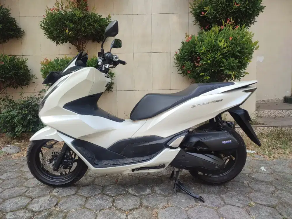 PCX 160 TAHUN 2023 PEMAKAIAN 2024 PAJAK HIDUP