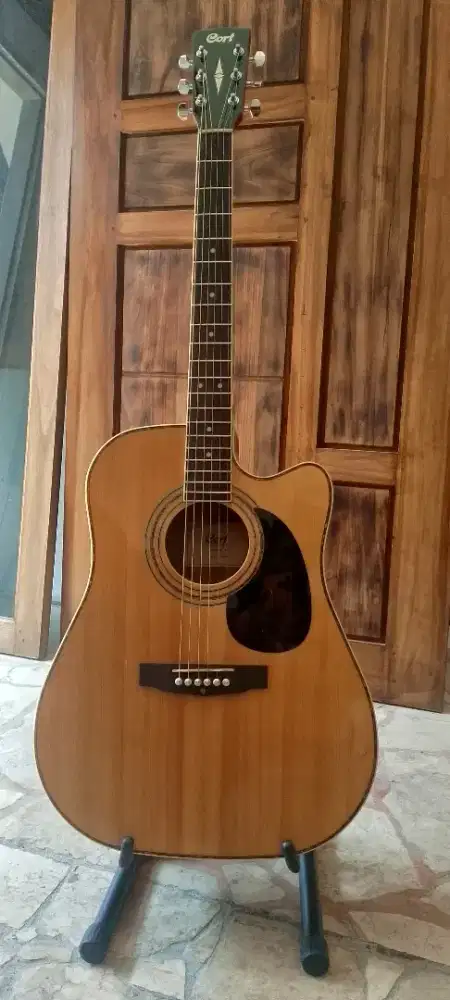Cort mulus seperti baru original