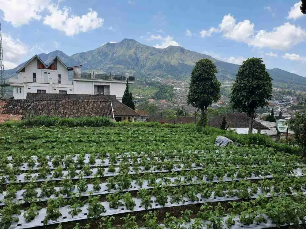 tanah pemandangan gunung di Selo Boyolali