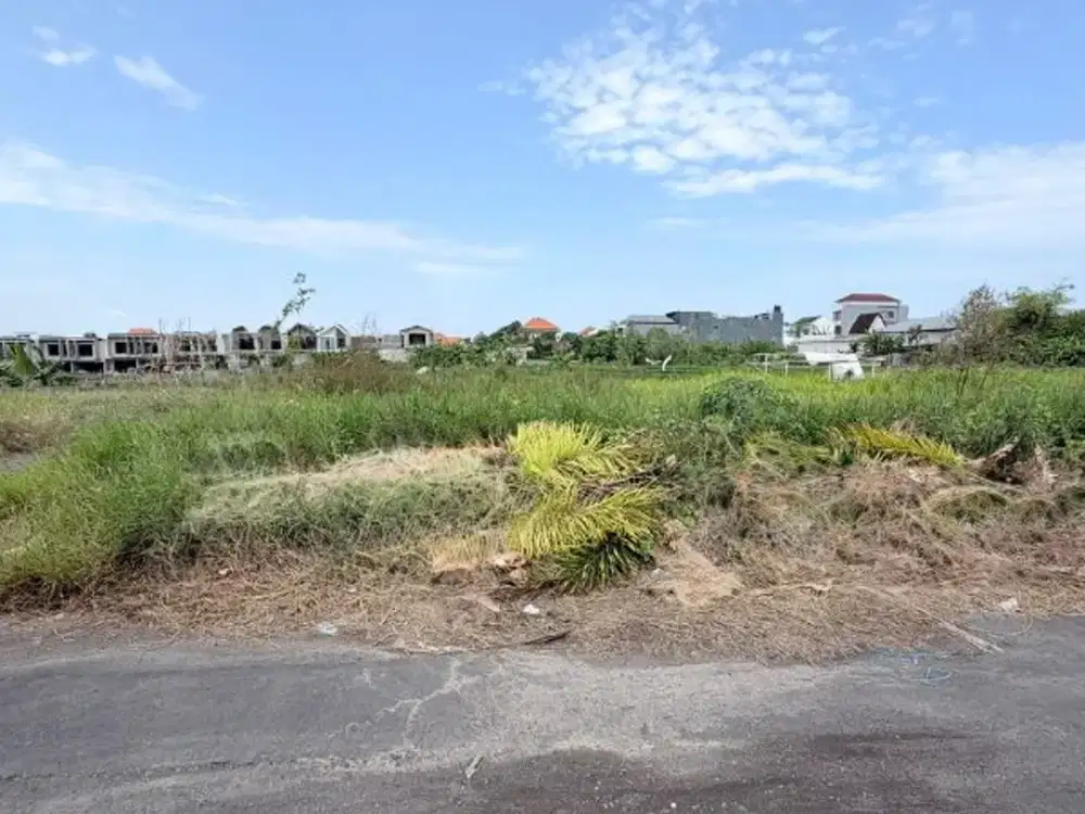TANAH PREMIUM DI GUNUNG SALAK KEROBOKAN BADUNG