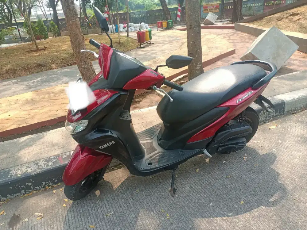 Yamaha FreeGo BU