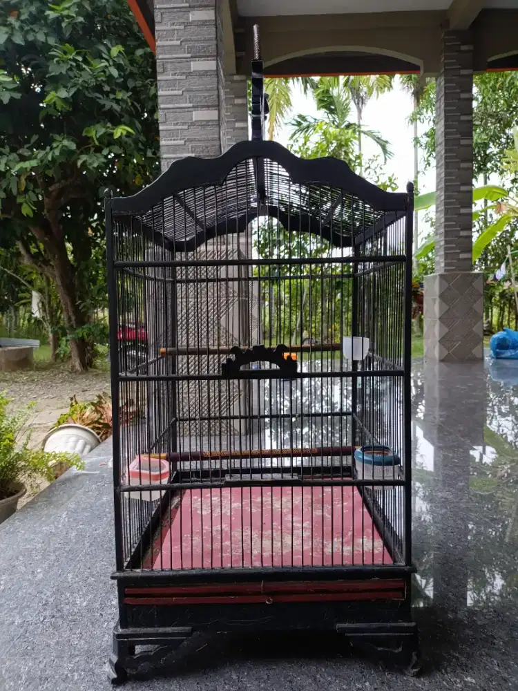 Sangkar burung petak