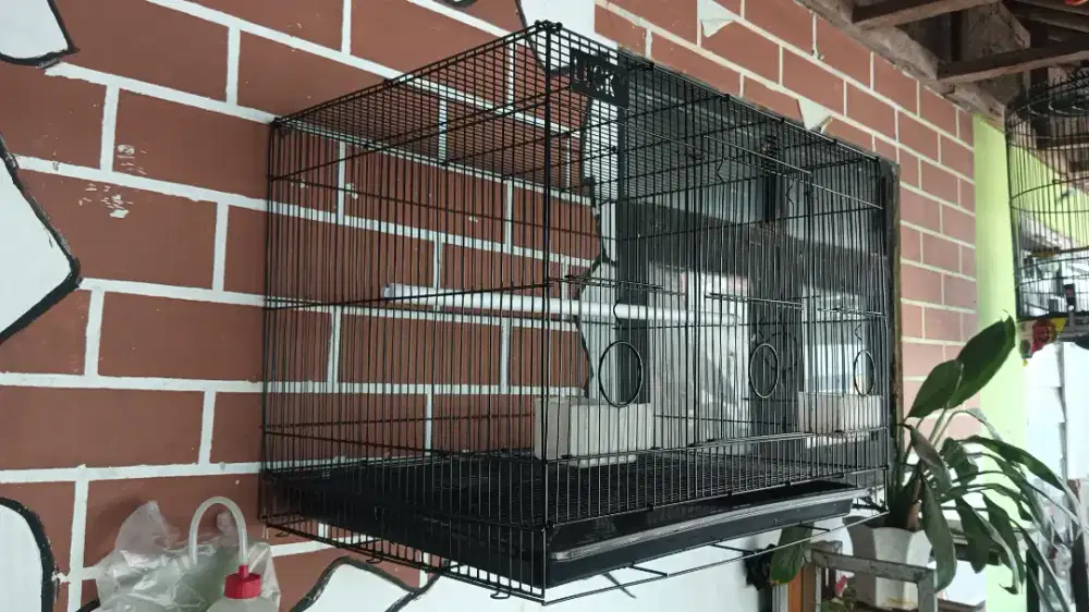 Kandang kotak umbaran burung