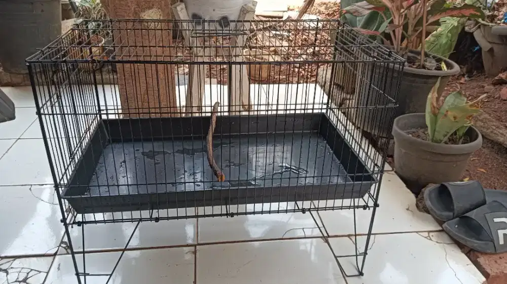 Keramba tempat mandi burung