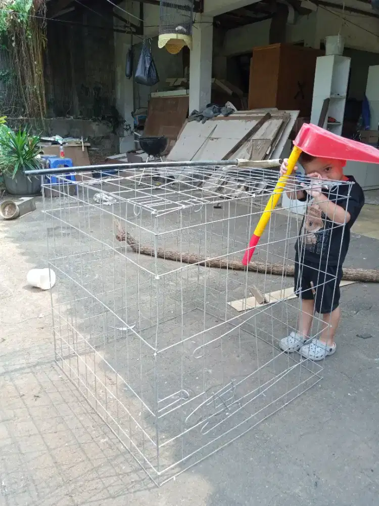 kandang umbar ayam 80 x 80