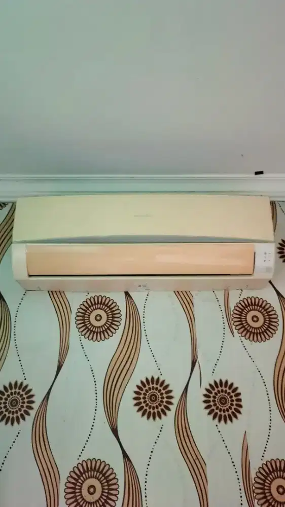 AC Sharp 1/2 pk