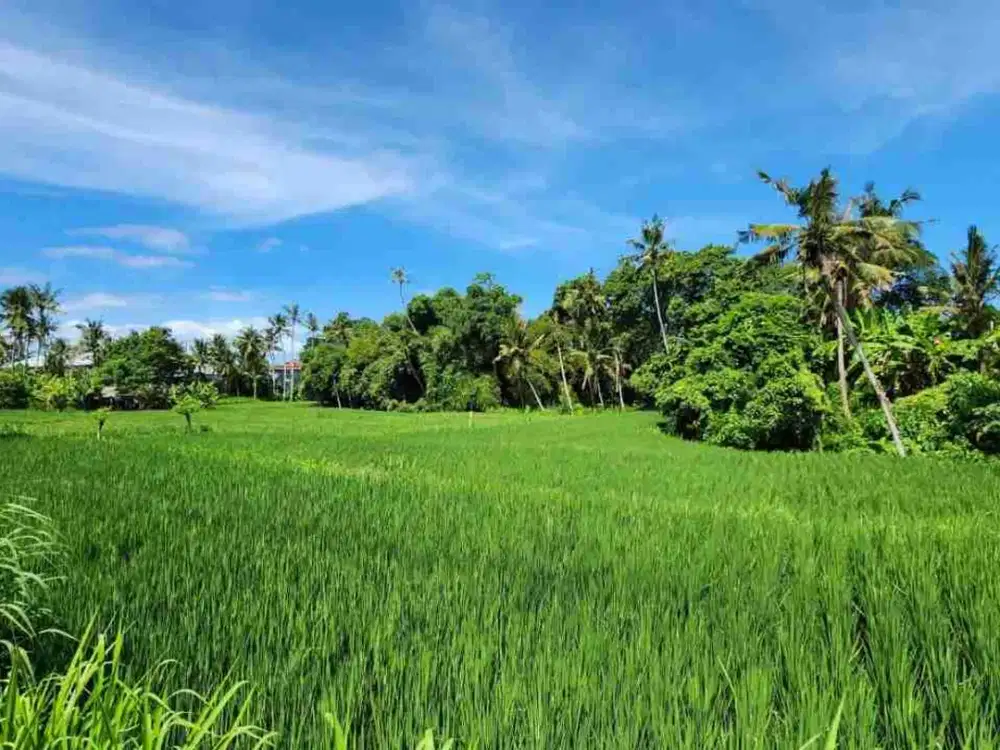 Tanah Kavling View Sawah, Lokasi Strategis, @Pering, Blahbatuh, Gianyar dekat Denpasar & Sanur