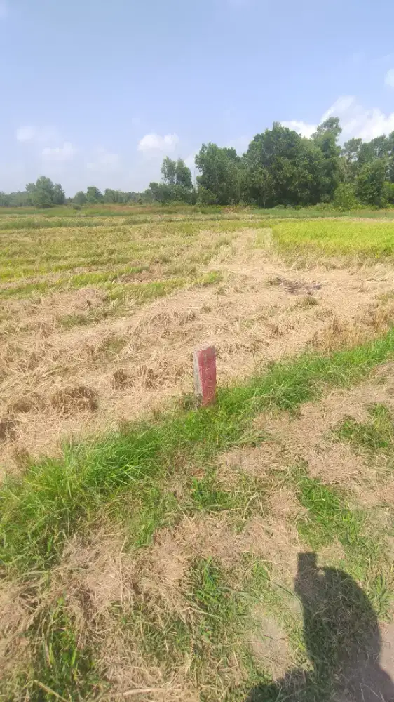 Dijual tanah 2 kavling (ukuran 10x30 meter)