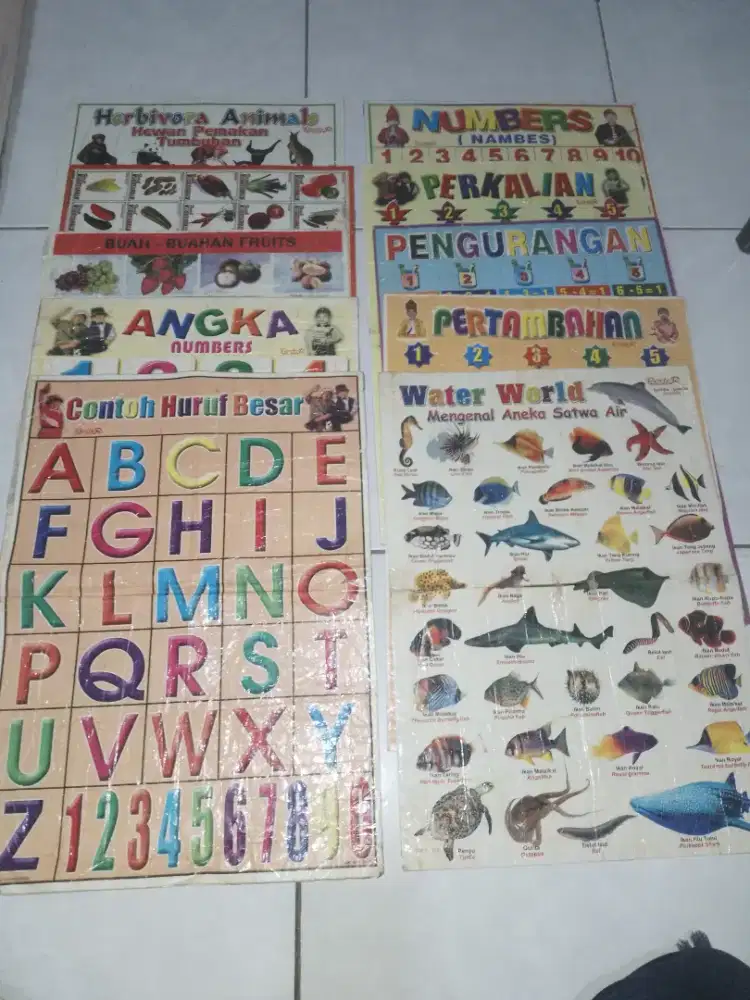Gambar poster pendidikan, ada 10pcs, size P50cm L35cm, kondisi ok,nego