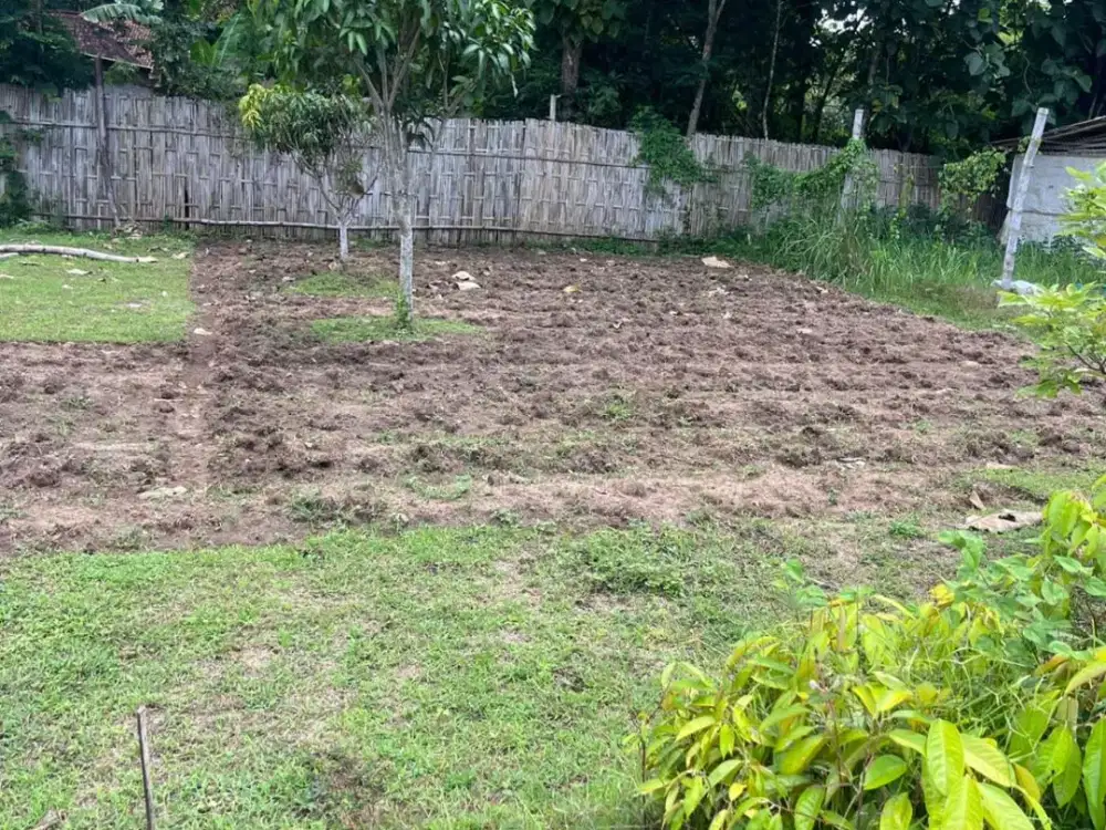 Dijual Tanah Kavling di Tepisari Polokarto Sukoharjo Jawa Tengah