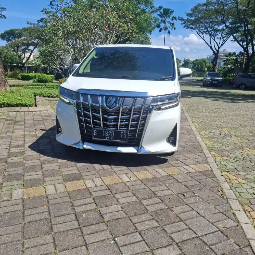 Alphard G TSS Atpm, istimewa