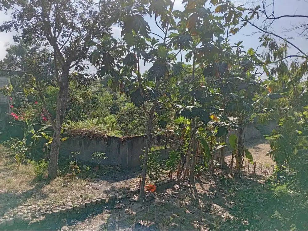 Tanah Pekarangan Tengah Kota Jogja dekat kampus UPY, IKIP PGRI, SMKI