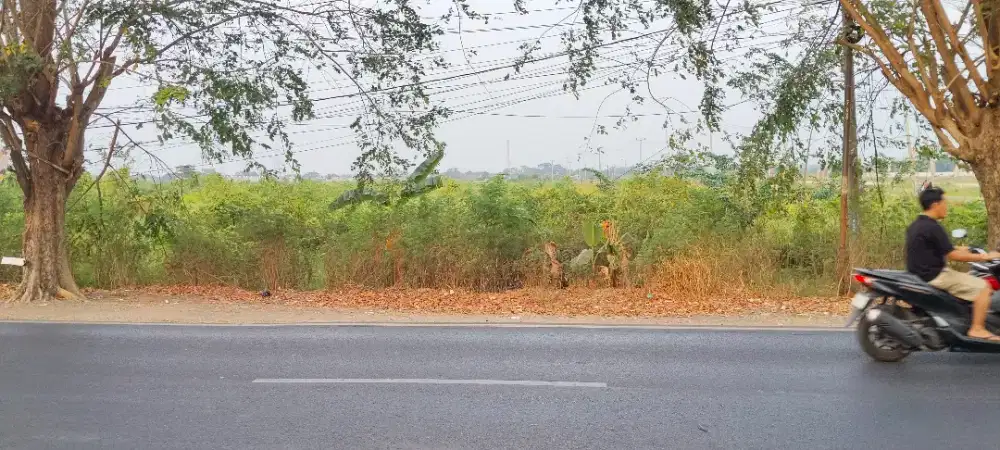 DI JUAL TANAH LT 32000m² DI JLN RAYA UTAMA TUNGGAK JATI KARAWANG BARAT