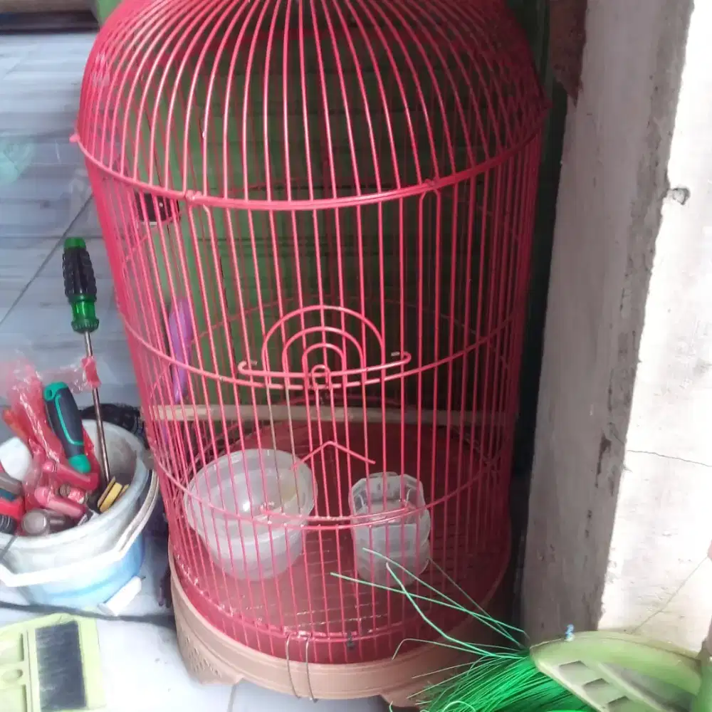 Kandang burung bekas