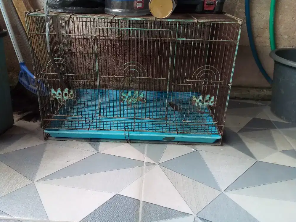 Kandang burung bekas