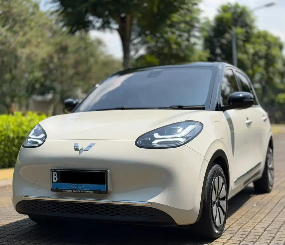 Free Wall Charging Range 410 Wuling Binguo EV Premium Long Range 2024