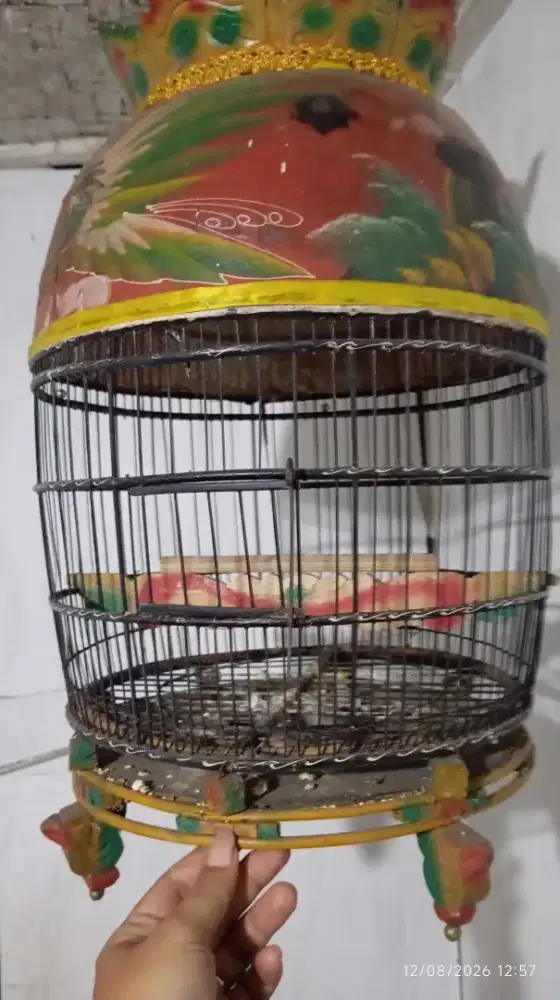 Sangkar perkutut masih layak pake