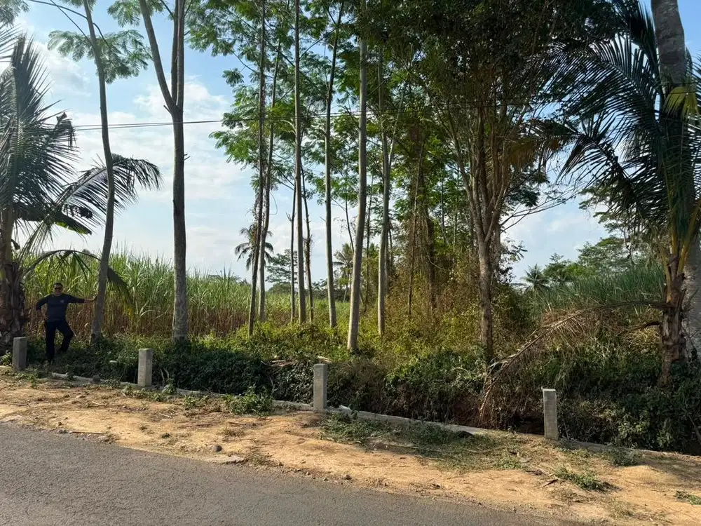 Dijual tanah SHM pakisaji malang