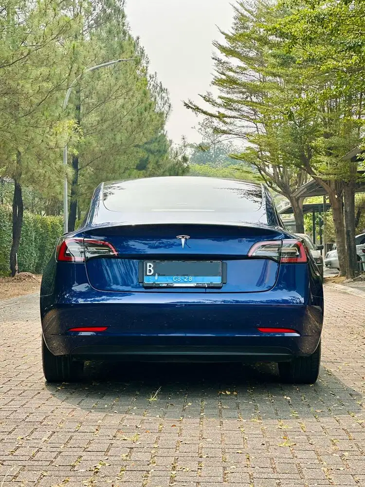 Tesla Model 3 Standard Plus (CASH) Frost Blue Metallic 2024 / 2023