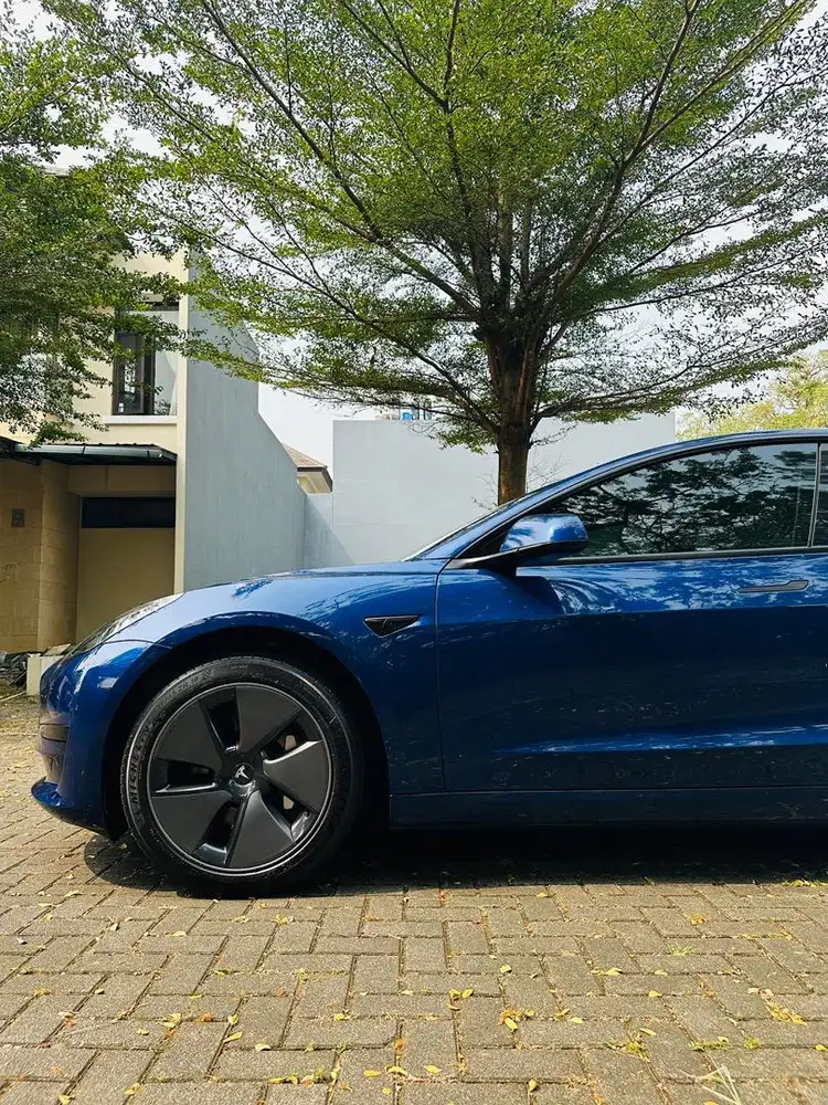 Tesla Model 3 Standard Plus 2024/2023 CASH Frost Blue Metalik Jual CPT