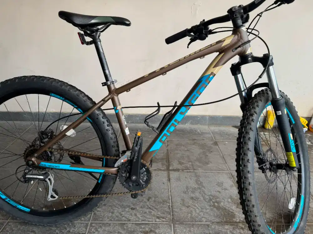 Sepeda MTB Polygon Premier 4 2020