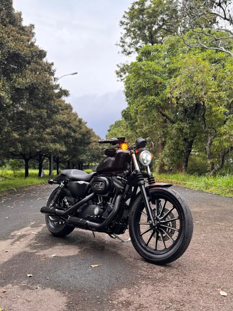 Harley Davidson Iron 883 2013 VIN 5HD Asli
