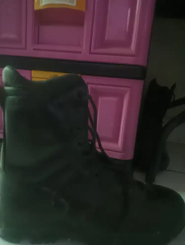 Sepatu PDL no. 43