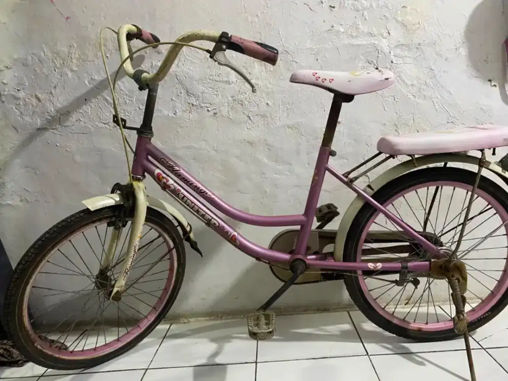 Sepeda mini united uk 20