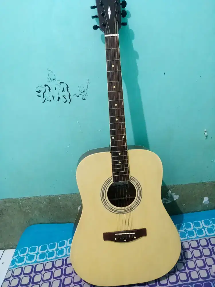 Gitar Cort AD810.