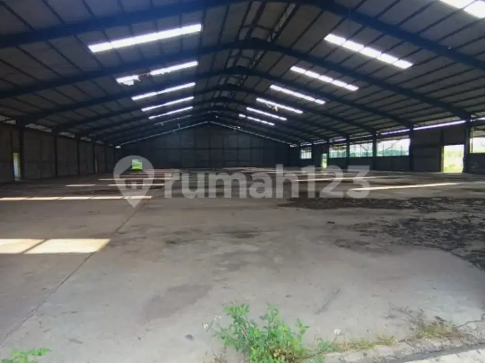 Disewakan Gudang Murah Di Cikande Tangerang