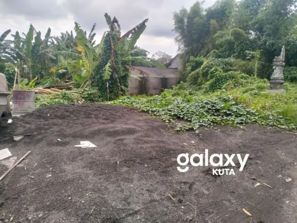 DIJUAL SEBIDANG TANAH DI PANDAK TABANAN