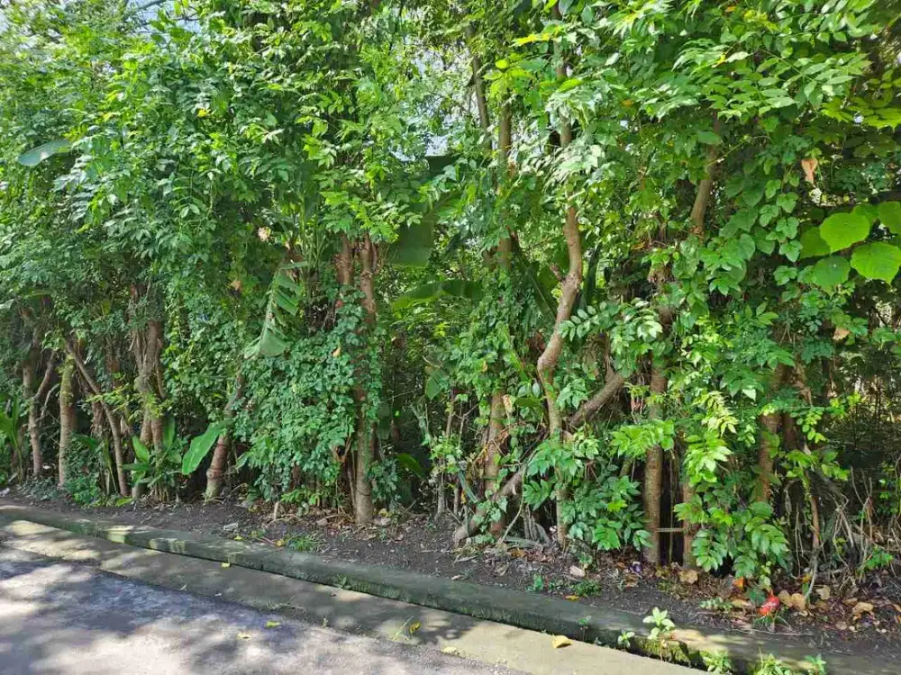 Tanah premium plot kecil langka sangat cocok untuk usaha resto, gym, villa dll