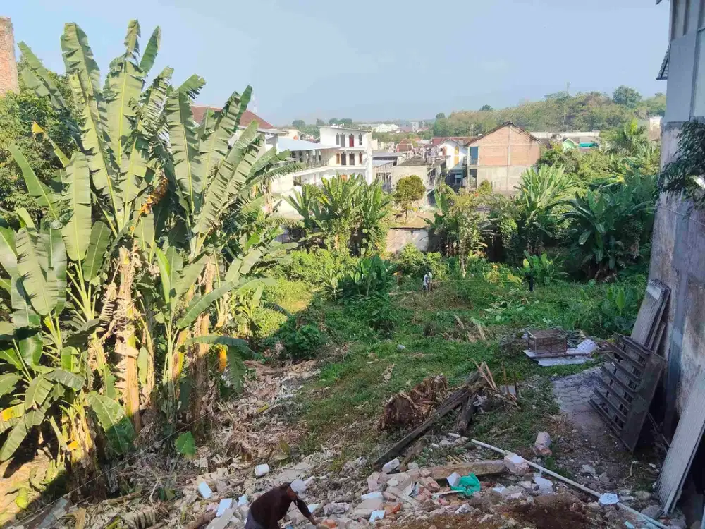 Dijual Tanah pinggir jalan Depan kampus Universitas Jember