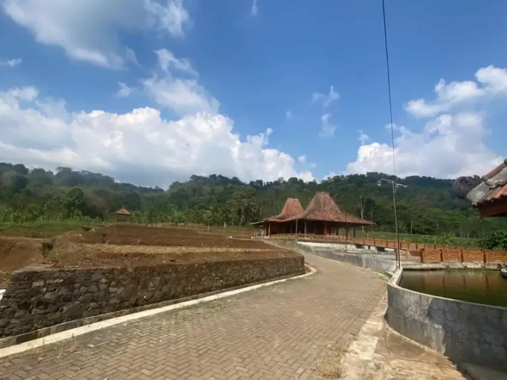 Dijual Ruang Usaha Luas 7 Ha di Purwodadi Potensi Investasi