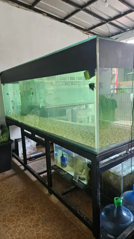 Aquarium jumbo mega tank ,megatank fullset