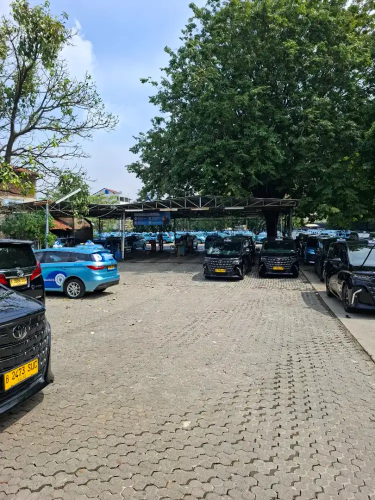 Lowongan driver bluebird
