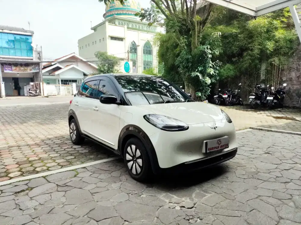 Wuling Binguo EV Premium Range 2024