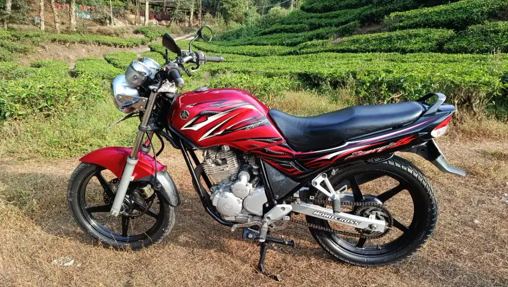 Scorpio antik mulus