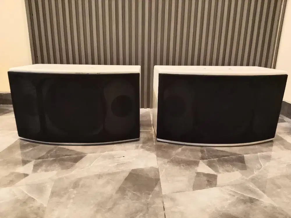 speaker VL Audio 10 Inch